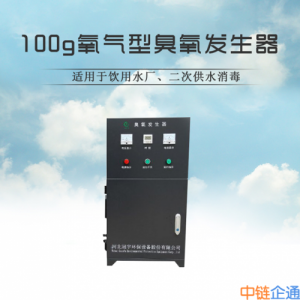 饮用水厂用氧气型臭氧发生器GY-NN-100G