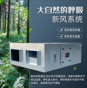 双向流新风换气机家用商用静音过滤PM2.5/防雾霾室内管道新风系统 价格