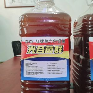 英菲达 黑臭水体治理 光合细菌 含量50亿净化水质 液体