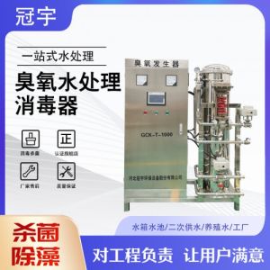 大型氧气型臭氧发生器冠宇环保脱色降COD除味污水处理 可定制