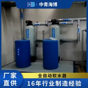 全自动软水器软化水设备 双罐软水装置 家用软水机