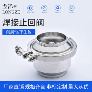 龙泽304/316L不锈钢DIN焊接止回阀无负压逆止阀门焊接快速连接型