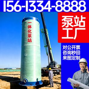 一体化泵站 一体化污水提升泵站  智能控制 淤泥处理 保聚厂家